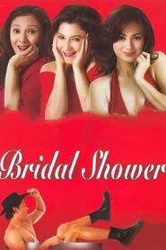 Bridal Shower 2004 on netflix