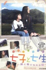 Nanako and Nanao: the Day They Became Sister and Brother 2004 on netflix