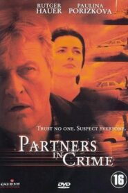 Partners in Crime 2000 on netflix