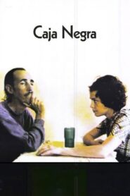 Black Box 2002 on netflix