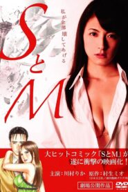 S&M 2010 on netflix