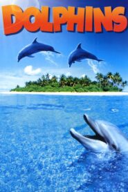 Dolphins 2000 on netflix