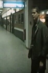 Jetzt kommt die Flut: Liebe, Geld und Tod 1982 on netflix