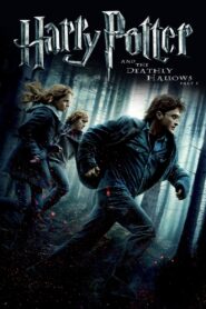 Harry Potter and the Deathly Hallows: Part 1 2010 on netflix