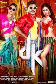 DK 2015 on netflix