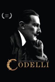 Codelli 2017 on netflix