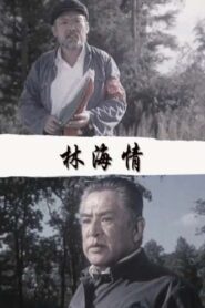 林海情 1984 on netflix