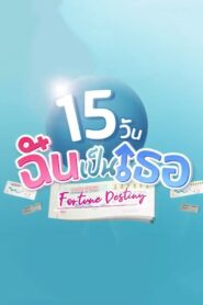 Fortune Destiny 2022 on netflix