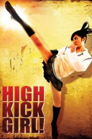 High Kick Girl! 2009 on netflix