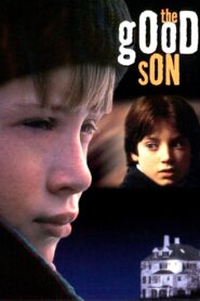 The Good Son 1993 on netflix