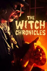 The Witch Chronicles 2015 on netflix