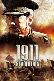 1911 2011 on netflix