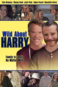 Wild About Harry 2009 on netflix