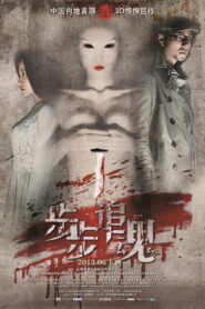 步步追魂 2013 on netflix