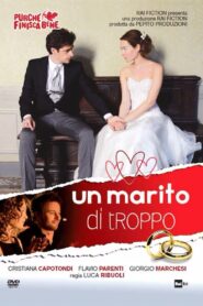 Un marito di troppo 2014 on netflix