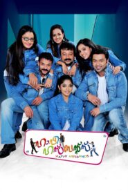 Happy Husbands 2010 on netflix