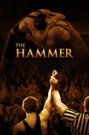 The Hammer 2010 on netflix