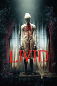 Livid 2011 on netflix