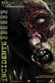Incident 2010 on netflix