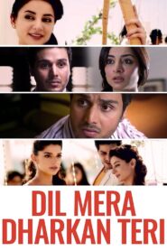 Dil Mera Dhadkan Teri 2013 on netflix