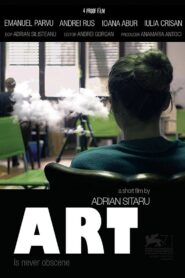 Art 2014 on netflix