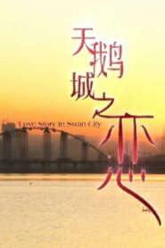天鹅城之恋 2011 on netflix