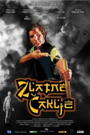 Golden Nunchakas 2007 on netflix