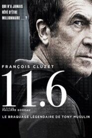 11.6 2013 on netflix