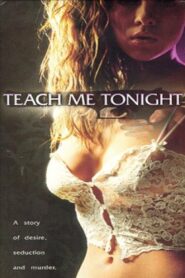 Teach Me Tonight 1997 on netflix