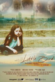Little Bird 2022 on netflix