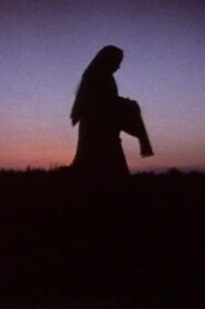 Women in the Shadows 1991 on netflix
