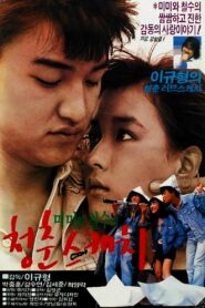 Springtime of Mimi and Cheol-su 1987 on netflix