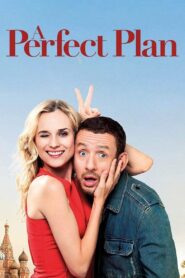 A Perfect Plan 2012 on netflix