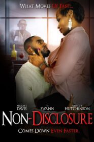 Non-Disclosure 2022 on netflix