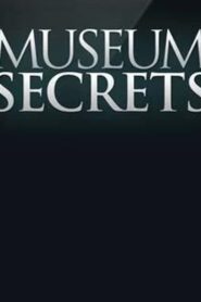Inside the Egyptian Museum 2011 on netflix