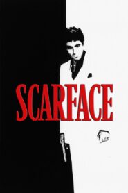 Scarface 1983 on netflix