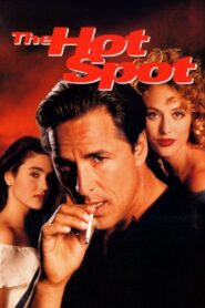 The Hot Spot 1990 on netflix