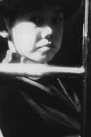 The Letter 1991 on netflix