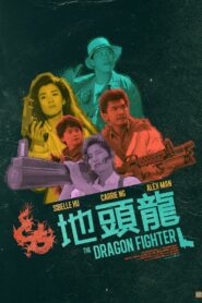 The Dragon Fighter 1990 on netflix
