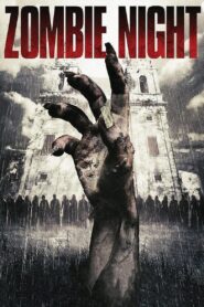 Zombie Night 2013 on netflix