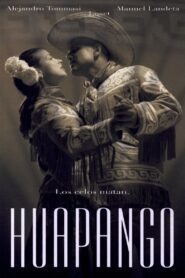 Huapango 2004 on netflix