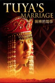 Tuya’s Marriage 2006 on netflix