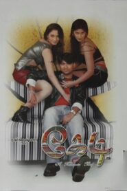 Kedi 2006 on netflix