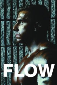 Flow 2012 on netflix