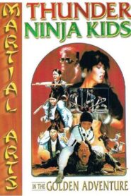 Thunder Ninja Kids In The Golden Adventure 1989 on netflix