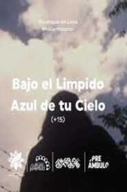 Bajo el límpido azul de tu cielo 1997 on netflix