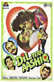 Dil Tera Aashiq 1993 on netflix