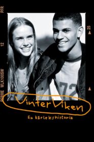 Vinterviken 1996 on netflix