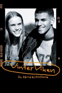 Vinterviken 1996 on netflix