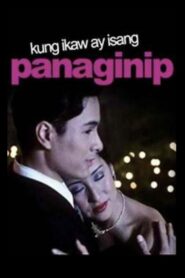 Kung Ikaw ay Isang Panaginip 2002 on netflix
